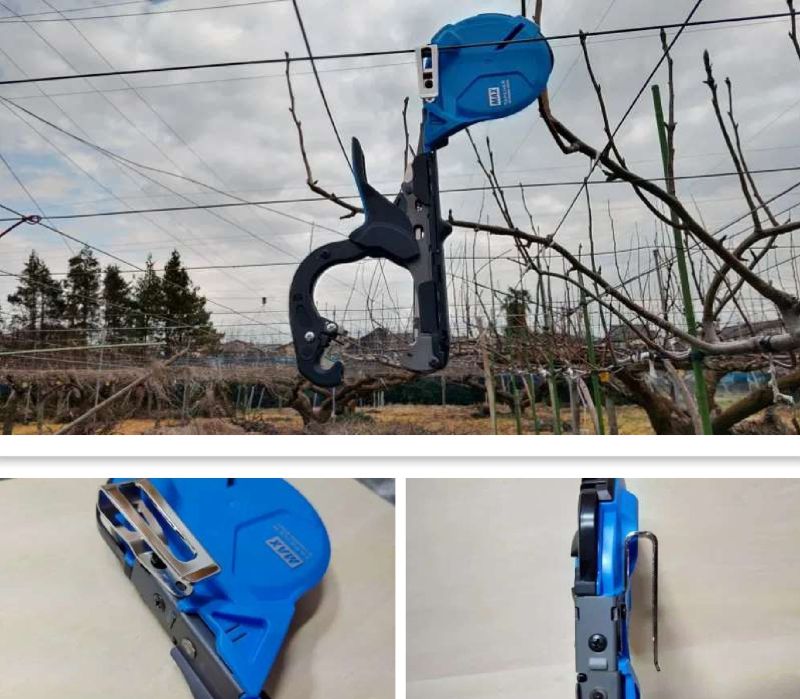 product_6506